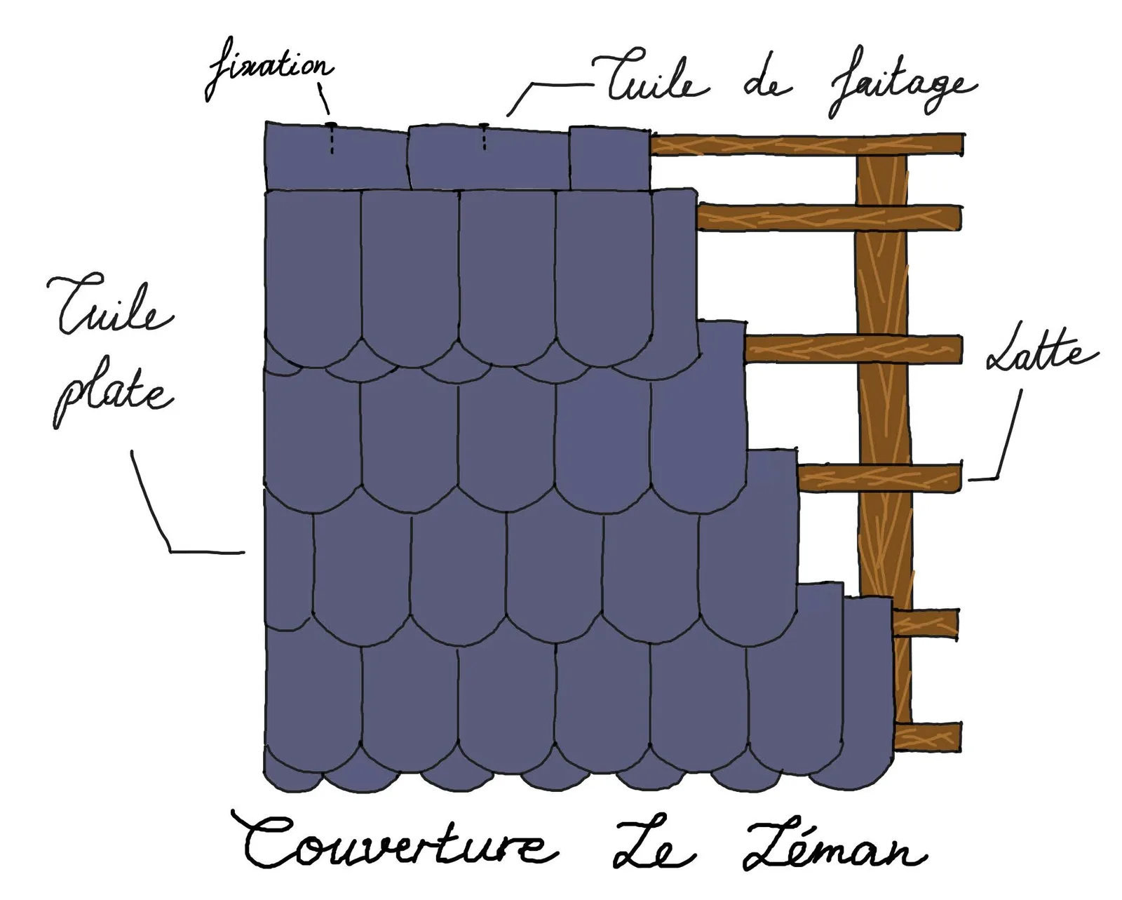 Schéma de principe de la couverture : tuiles plates, tuiles de faîtage et lattes