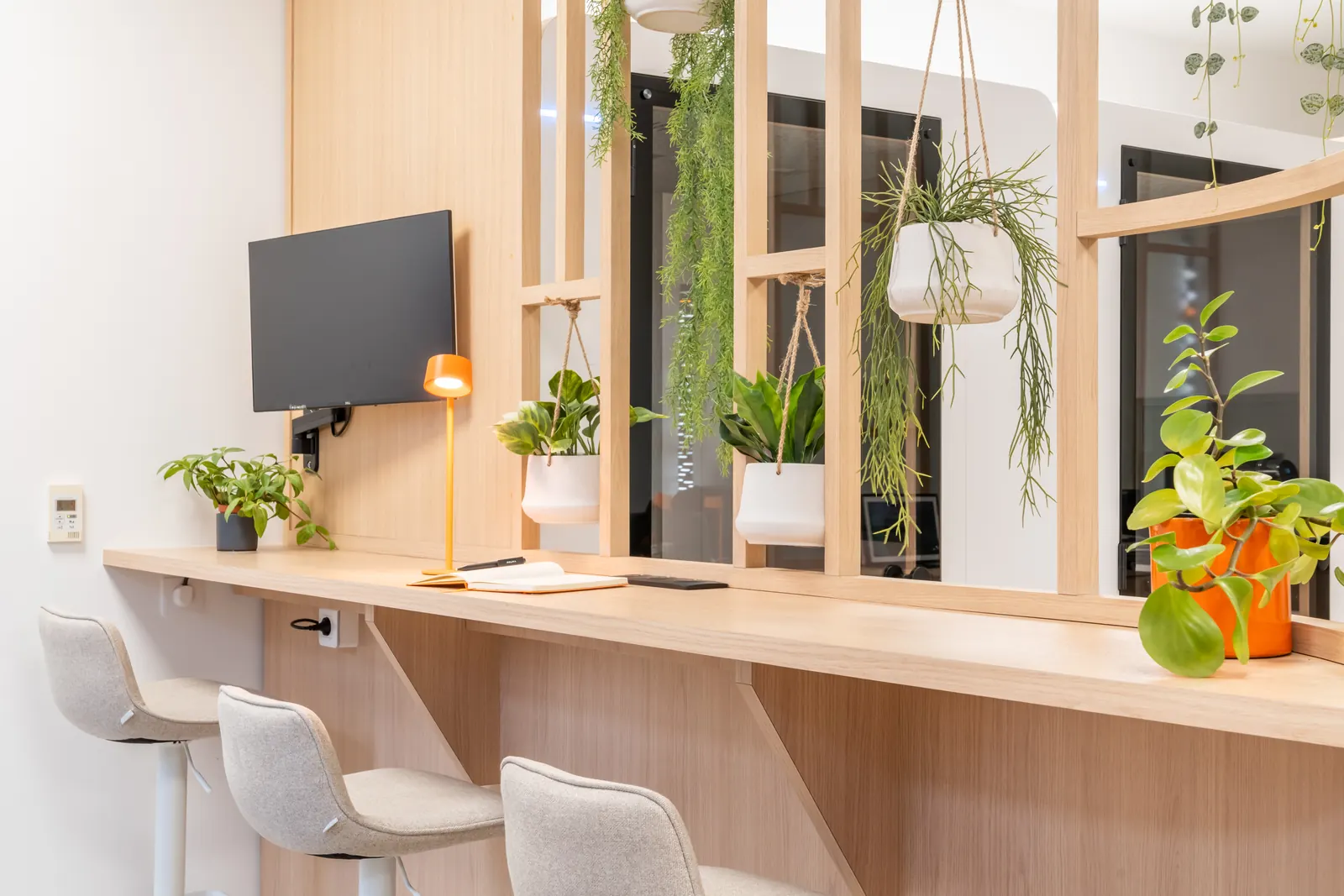 Comptoir haut et plantes suspendues